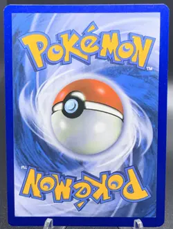 Pikachu VMAX SWSH286 - Pokemon TCG Black Star Promo NM - Image 2