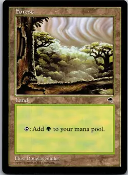 Forest (Cloudy) - L - MTG: Tempest 1997 [LP] - Image 1