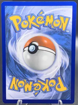 Fennekin 080 Mega Evolution - Pokemon Chaos Rising ETB Black Star Promo NM - Image 2
