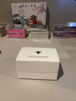 MTG Secret Lair - We Hope You Like Squirrels - Magic The Gathering - Sealed 630509951079 - Image 2