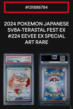 Pokemon TCG 2024 Japanese SV8a Terastal Fest Eevee ex 224/187 SAR Holo PSA 10 - Image 3