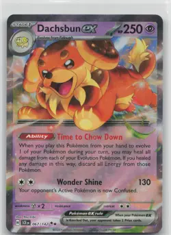 Pokemon Dachsbun ex 67/142 Double Rare Stellar Crown Holo LP - Image 1