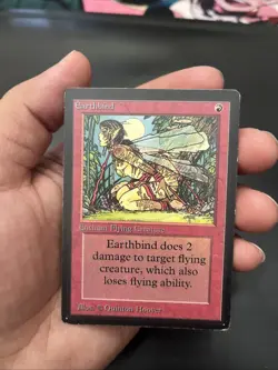 Magic: The Gathering Earthbind Beta LP/MP - Image 1