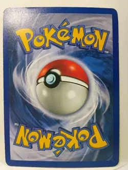 Pokemon Kangaskhan 5/64 Holo Rare Jungle Card VG See Pics - Image 2