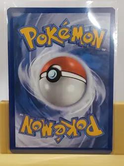 Squirtle 148/142 Sv07: Stellar Crown SIR, MINT, English Pokemon TCG - Image 2