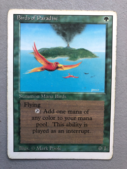 Mtg Carte Magic Revised Birds of Paradise English MP/HP - Image 1