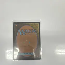 Wan Shi Tong, Librarian 0320 MTG Avatar TLA Foil Full Art Mythic Blue Borderless - Image 3
