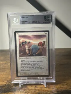 1993 Magic The Gathering Arabian Nights Camel D X C5 NNO BGS 8.5 - Image 1