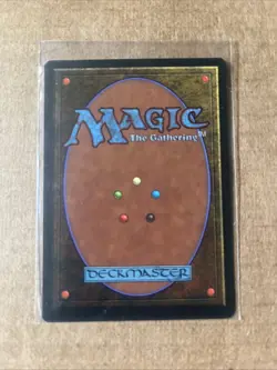 Equinox Legends Regular - Image 2