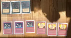 Unlimited 9 Card Lot MTG, Dragon Whelp, Fire Elemental, Evil Presence, LP, MP - Image 1
