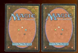 2x Desert Common LP/Pl Land Arabian Nights Magic the Gathering MTG - Image 2