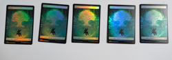 34x MTG Secrets of Strixhaven FULL ART FOIL Land Lot NM SOS #267-271 Bulk - Image 4