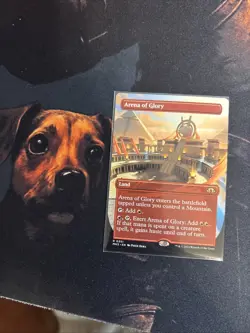 Mtg Arena of Glory Borderless - Modern Horizons 3 + Bonus Foils - Image 1
