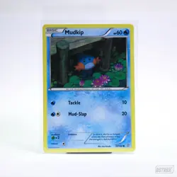 Pokemon TCG 2014 XY Primal Clash Card -- Mudkip 33/160 - Image 1