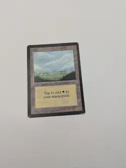 Mtg Plains X1 MP- BETA - Image 1