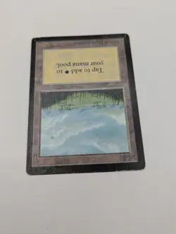 Mtg Plains X1 MP- BETA - Image 2