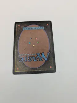 Mtg Plains X1 MP- BETA - Image 3