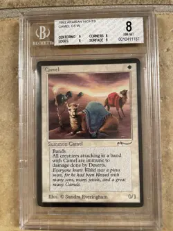 Magic: The Gathering - Camel - Arabian Nights - BGS 8 NM-MT! - Image 1
