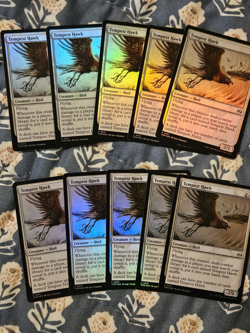 Tempest Hawk MTG FOIL 10x MTG NM Tarkir: Dragonstorm English - Image 1