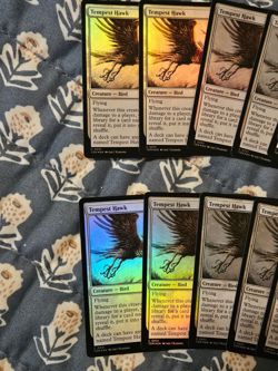 Tempest Hawk MTG FOIL 10x MTG NM Tarkir: Dragonstorm English - Image 2
