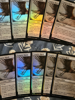 Tempest Hawk MTG FOIL 10x MTG NM Tarkir: Dragonstorm English - Image 3