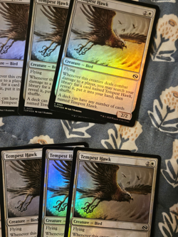 Tempest Hawk MTG FOIL 10x MTG NM Tarkir: Dragonstorm English - Image 4