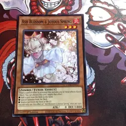 Yugioh! Ash Blossom & Joyous Spring L5DD-ENY17 Common 1st Edition Near Mint - Image 1