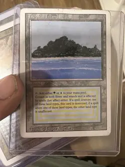 Wizards of the Coast MTG Tropical Island Revised Edition Rare Regular EN Land - Image 1