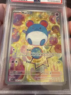 Marill 232/217 Illustration Rare 2026 Pokemon Ascended Heroes PSA 10 Gem Mint - Image 4