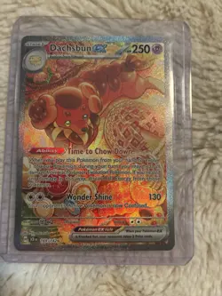 Dachsbun ex 169/142 Sv07: Stellar Crown Holo Pokemon TCG - Image 1