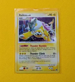 2007 Pokemon Diamond & Pearl Secret Wonders Raikou #16/132 holo - Image 1