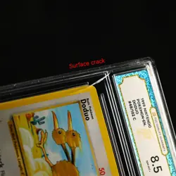 TQG 8.5 NM-MT+ 1999 Pokemon ENG Doduo #48/102 C - Image 2