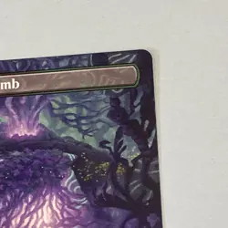 Overgrown Tomb 350 (Borderless) Lorwyn Eclipsed Regular MTG TCG CARD NM - Image 3