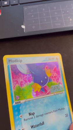 Pokemon TCG Mudkip 58/100 Stamped Reverse Holo, Common, Great Card. - Image 2