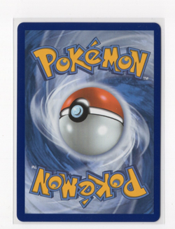 Pokemon TCG Surfing Beach 114/086 Ultra Rare Holo Chaos Rising NM - Image 2