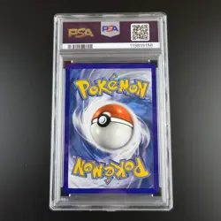 PSA 10 Glaceon Vmax 208/203 Pokemon Evolving Skies Rainbow Rare Graded Card - Image 4