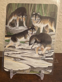 Sorcery Contested Realms - Beta - Grey Wolves Foil NM/M - Image 2