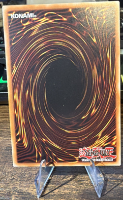 Yugioh! Amazoness Queen - OP06-EN025 - Common - Near Mint NM rare card - Image 2