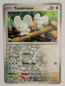 TANDEMAUS 166/193 COMMON PALDEA EVOLVED POKEMON REVERSE HOLO NM - Image 1
