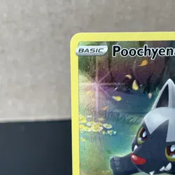 Pokemon Poochyena GG33/GG70 Crown Zenith Galarian Gallery Ultra Rare NM - Image 3