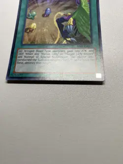 Yu-Gi-Oh! Harpies’ Hunting Ground Super Rare Unlimited AP02-EN010 MP - Image 2