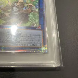YuGiOh Wynn the Verdant Charmer 25th PSA10 Five Star Collector Card - Image 5