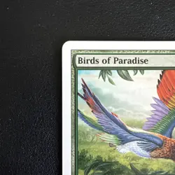 1x Birds of Paradise 8th Edition [NM-Mint] Magic the Gathering MTG Green 233/350 - Image 2