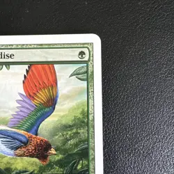 1x Birds of Paradise 8th Edition [NM-Mint] Magic the Gathering MTG Green 233/350 - Image 3