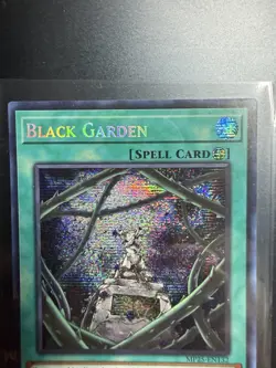 Yugioh Black Garden MP25-EN132 Prismatic Secret Rare 1st Ed NM - Image 4