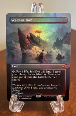 MTG Scalding Tarn Borderless Foil Tarkir Dragonstorm Special Guests Fetch Land - Image 1