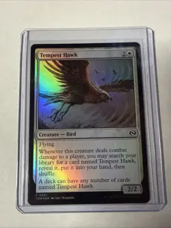 MTG Tempest Hawk Tarkir: Dragonstorm Foil - Image 1