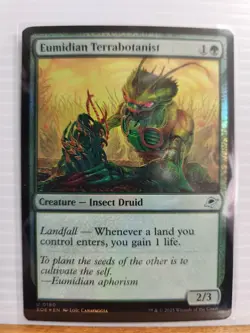 MTG Eumidian Terrabotanist 180 Edge of Eternities U Foil NM - Image 1