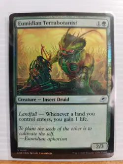 MTG Eumidian Terrabotanist 180 Edge of Eternities U Foil NM - Image 2