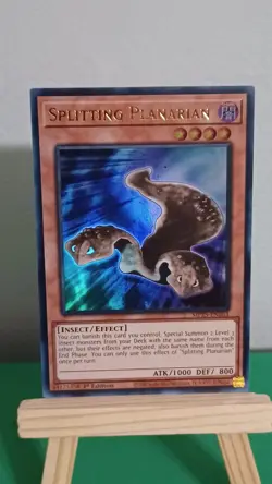 2025 Yugioh Splitting Planarian MP25-EN263 Ultra Rare 1st Edition Fresh Pull - Image 3